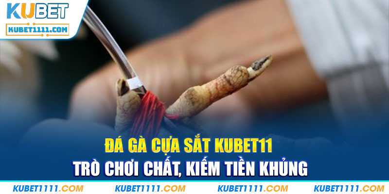 Đá Gà Cựa Sắt Kubet11