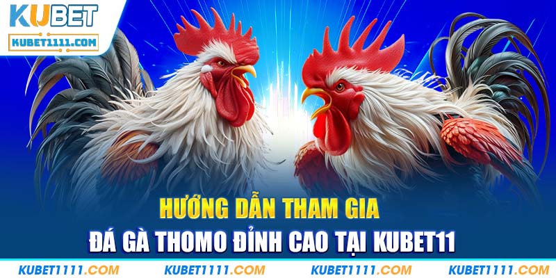 Đá Gà Thomo