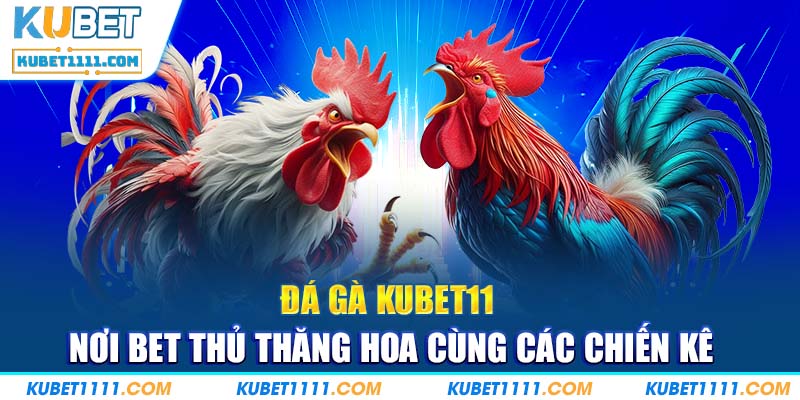 Đá Gà Kubet11 - Sân Chơi Kịch Tính Nơi BBet Thủ Thăng Hoa Cùng Các Chiến Kê