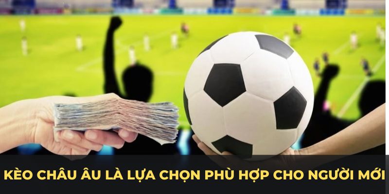  Kèo châu Âu là lựa chọn phù hợp cho người mới tại sảnh thể thao kubet11